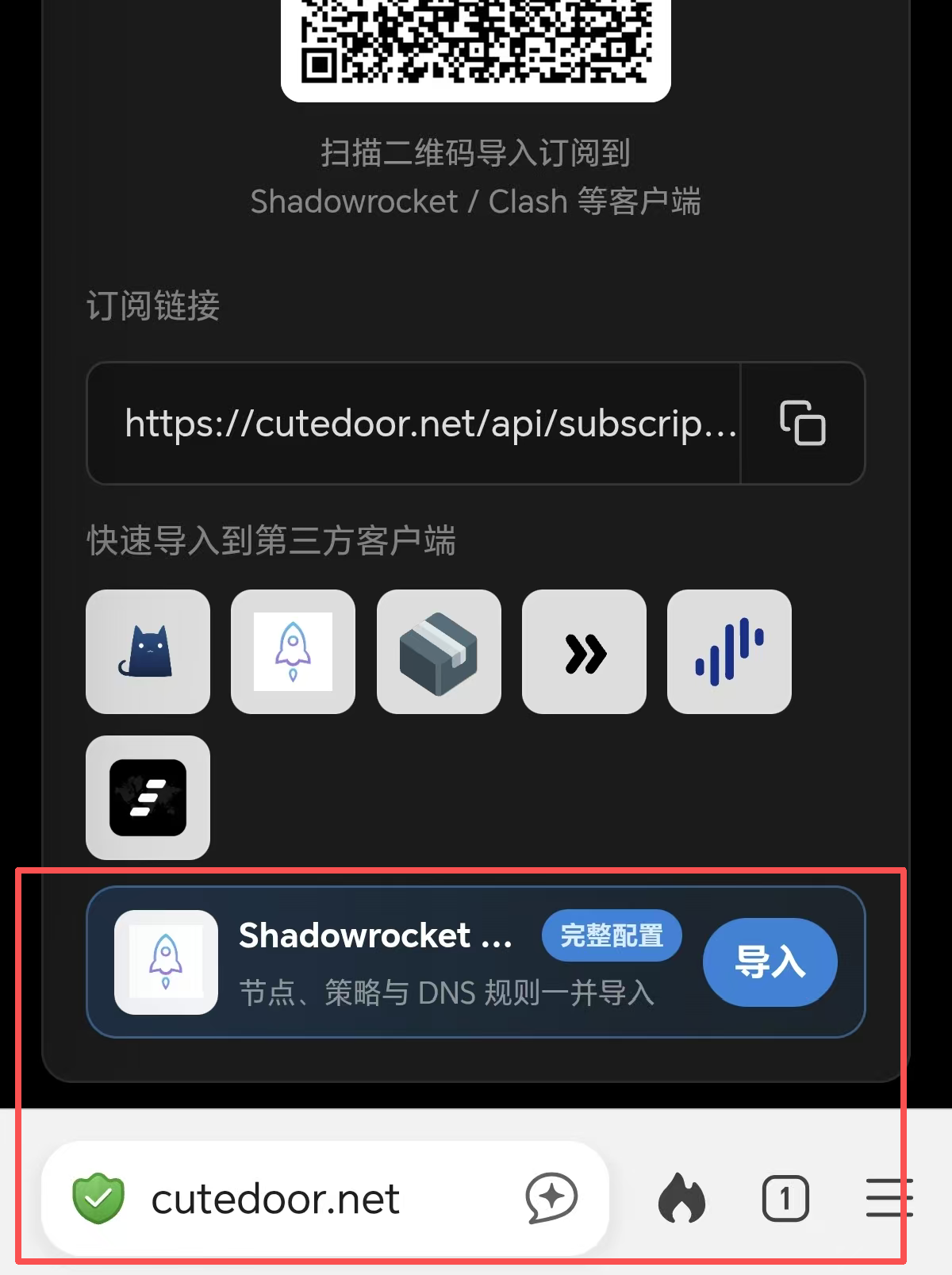 我的面板中的 Shadowrocket 完整配置导入按钮